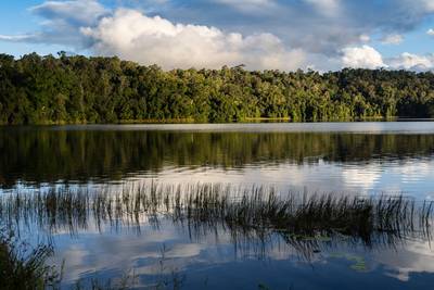 Picturesque scene of Lake Barrine in Atherton Table Lands, Queensland, Australia