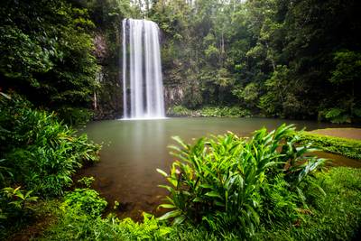 Millaa Millaa Waterfall