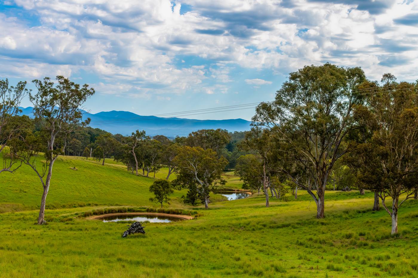 Bega