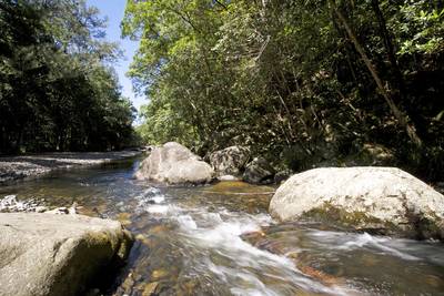 Bellingen