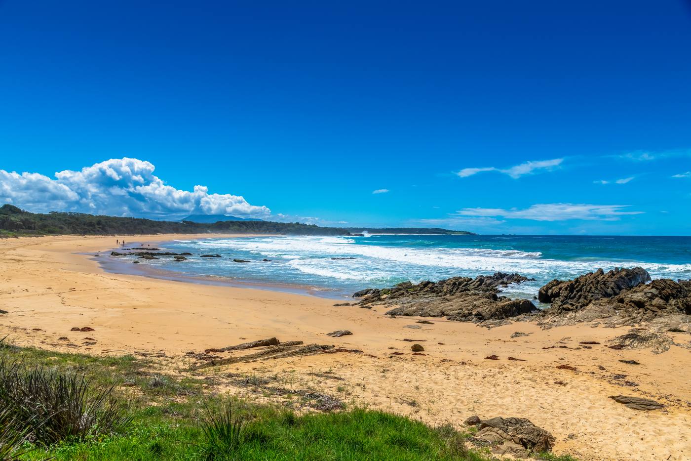 Bermagui