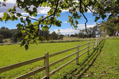 Beautiful shot of green highlands in Bowral, Australia