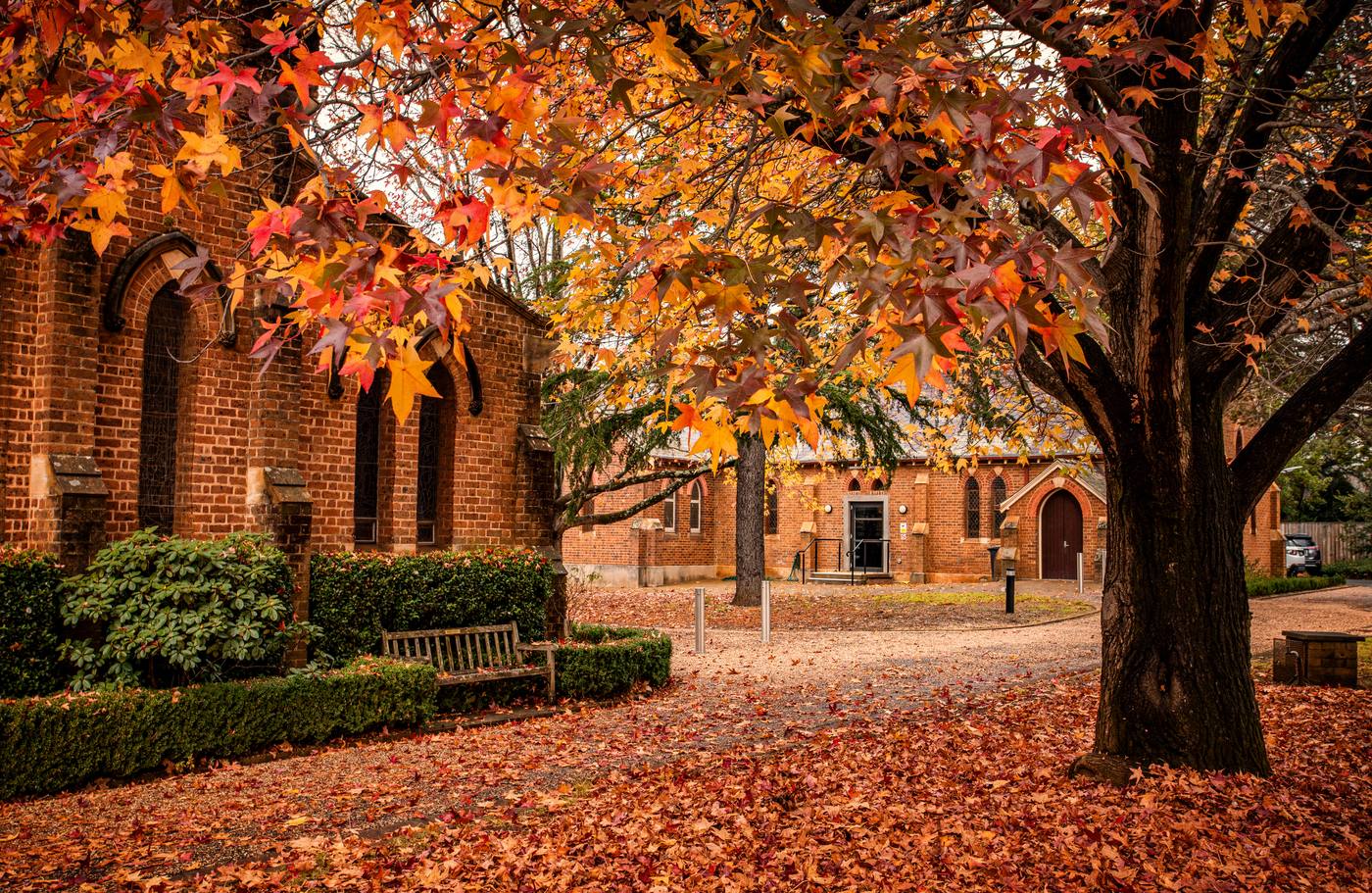 Autumn leaves over the garden of St Jude's church in Bowral