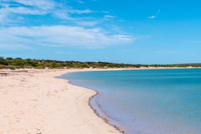 The empty long beach at Shark Bay in Western Australia