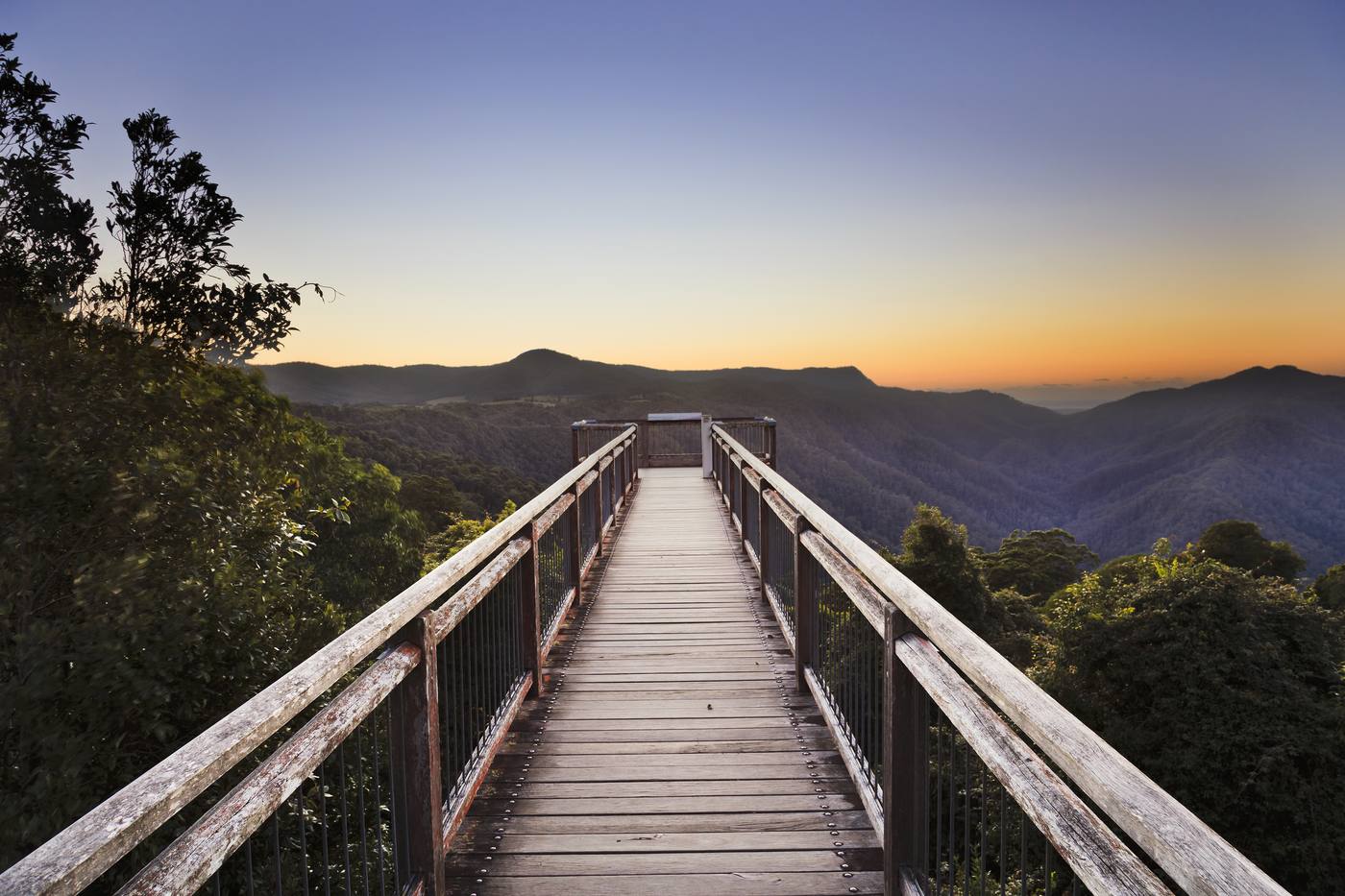 The Skywalk lookout at Dorrigo National Park stretching out over a forested valley at dusk
