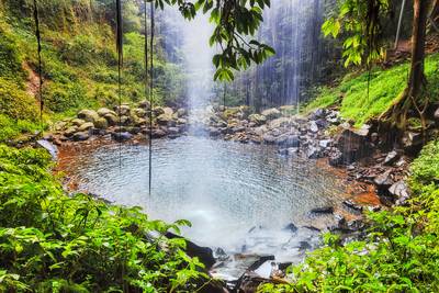DNP Inside Crystal Fall