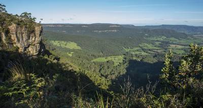 Nature in Kangaroo valley
