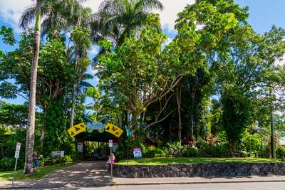 Kuranda Village is a picturesque mountain retreat, 25km northwest of Cairns in Far North Queensland.