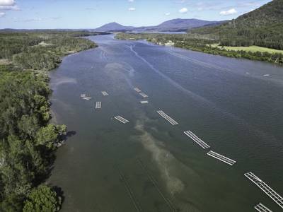 aerial view of a river