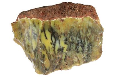 dendritic opal from Lightning Ridge, Australia