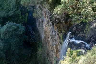 Mapleton Falls National Park: Australian Natural wonder with Scenic Views and Epic Waterfall in the Sunshine Coast Hinterland, Oueensland