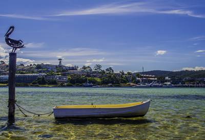 Moored Boat