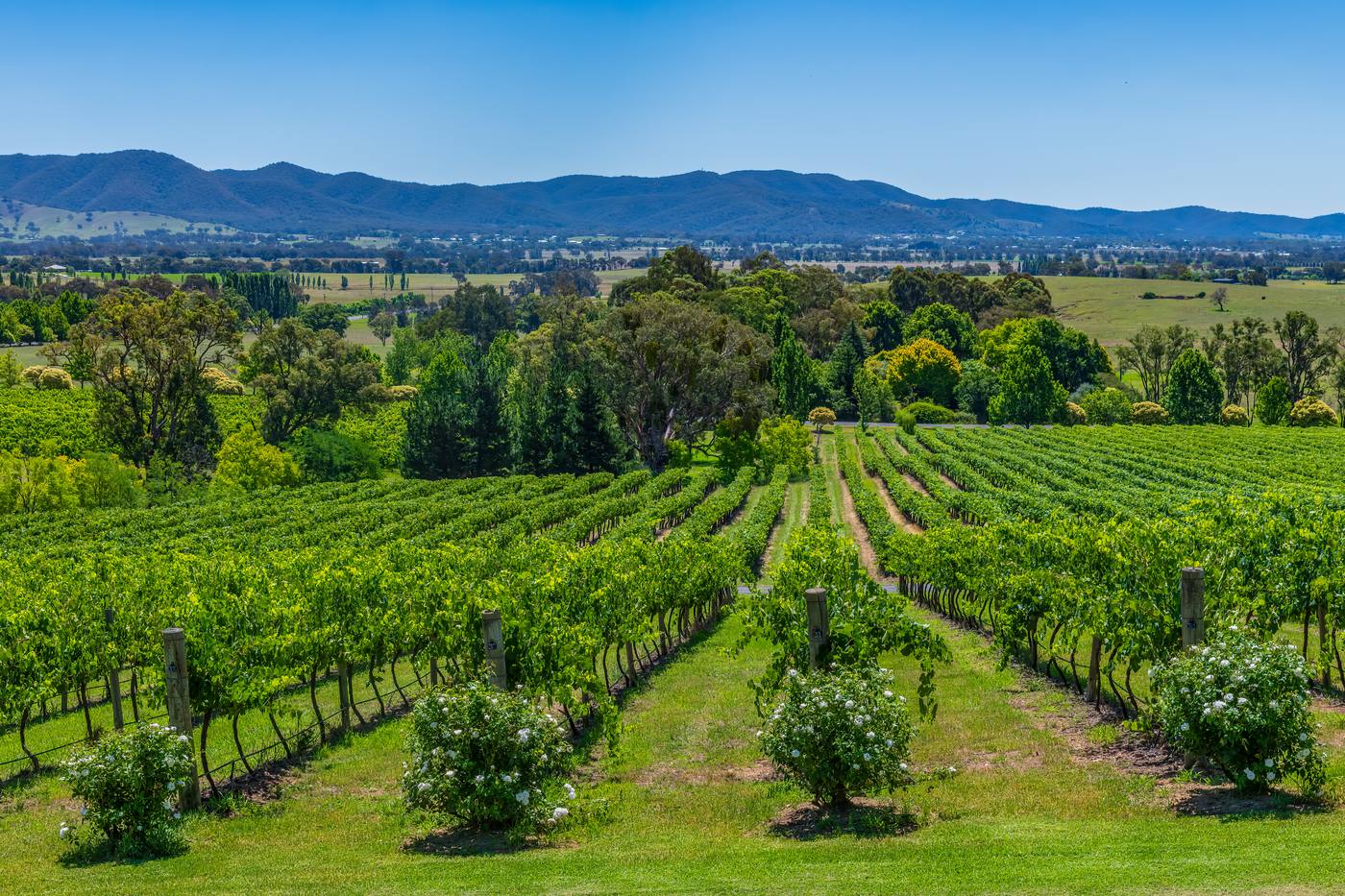 Mudgee