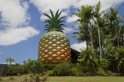 Big Pineapple near Nambour Sunshine Coast Queensland