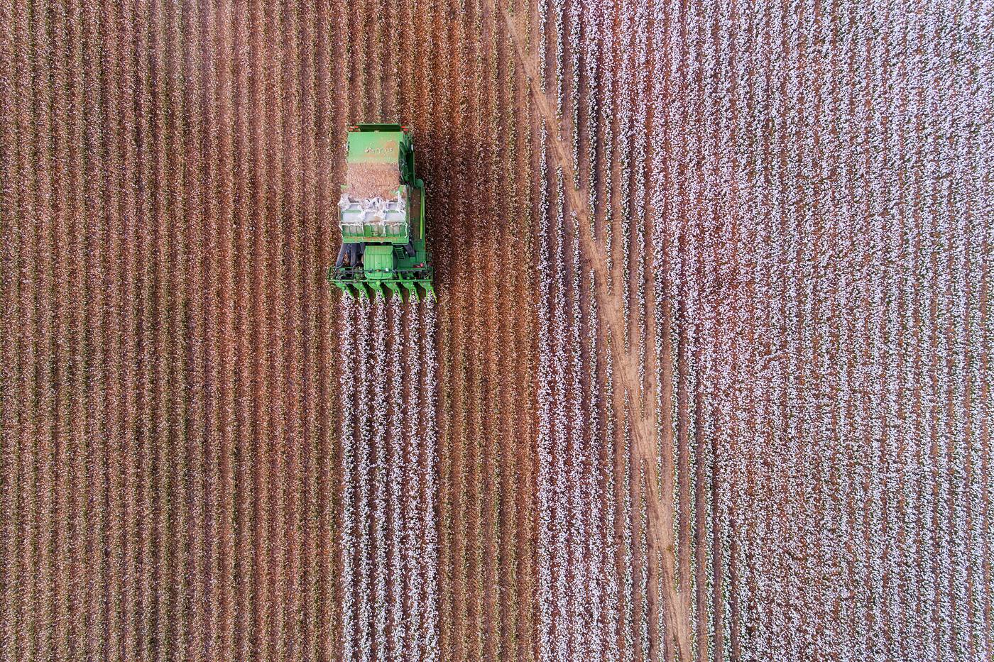 Narrabri