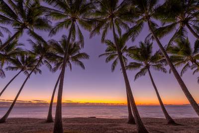 Palm Cove before dawn