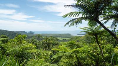 Views at Mount Alexandra lookout, Australia