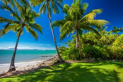 Rex Smeal Park in Port Douglas, palm trees and beach