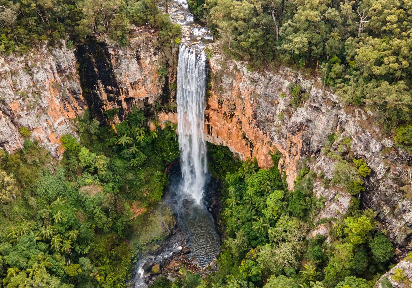 Aerial view of Purlingbrook Falls dropping through rainforest and sandstone cliffs at Springbrook National Park