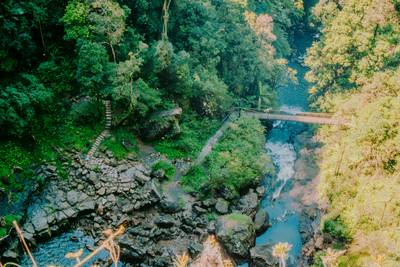 Rustic Bridge over waterfall water and pathway in National Park of Springbrook in Queensland Australia