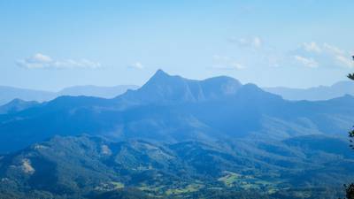 Exploring Springbrook Nationa Park on the Gold Coast