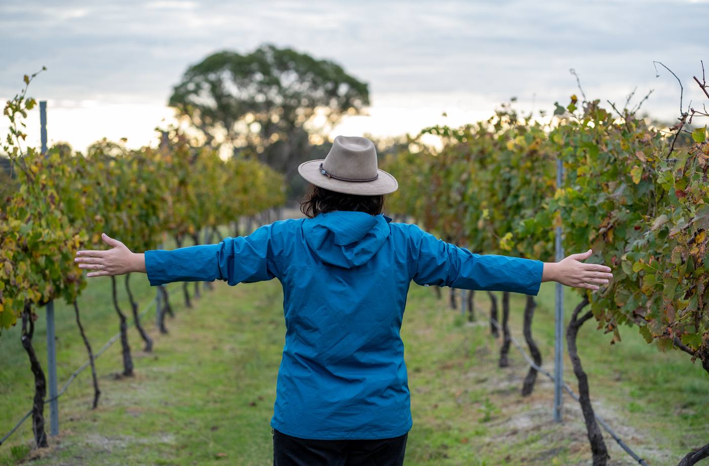 Stanthorpe