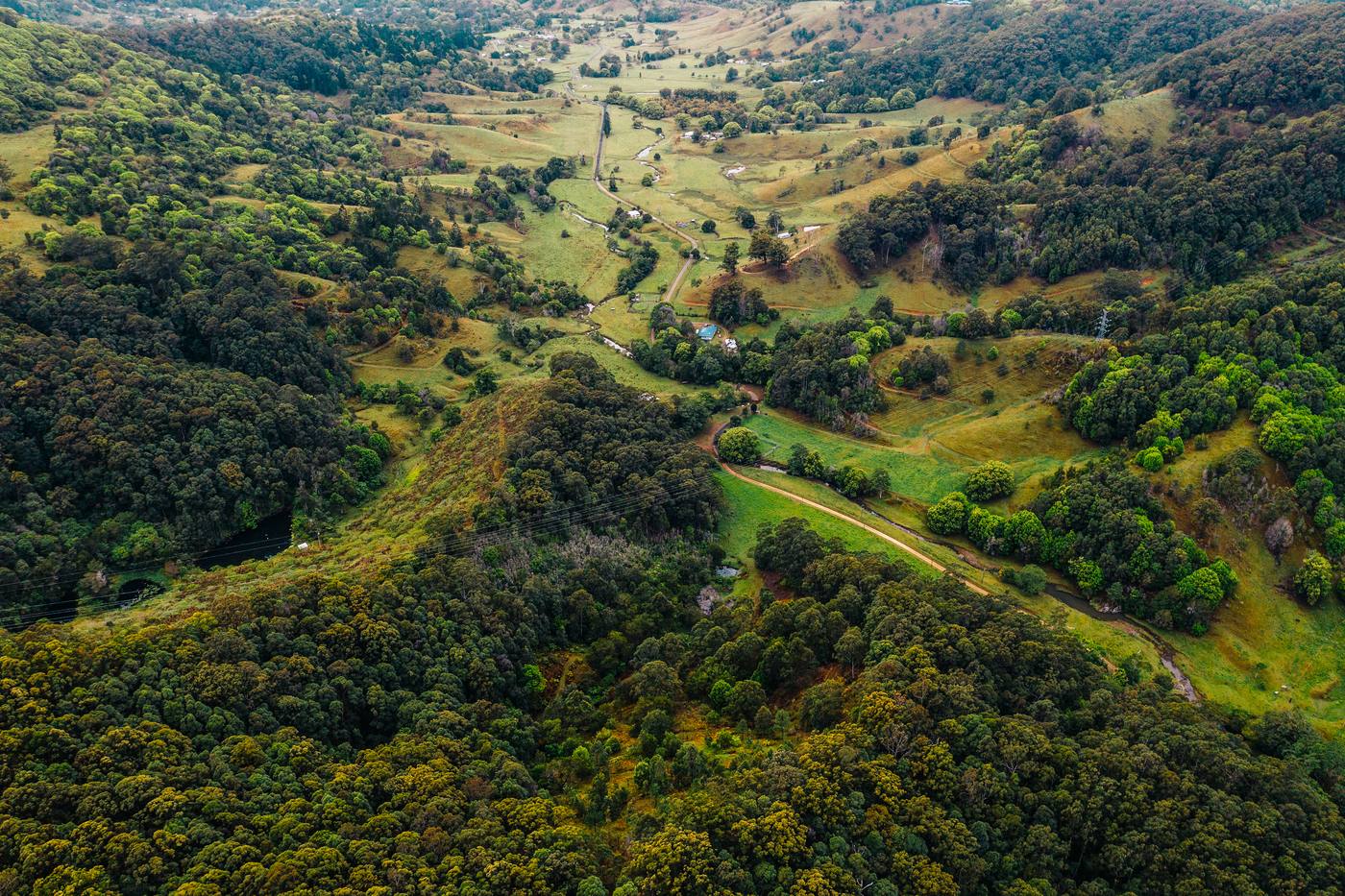 Tallebudgera Valley