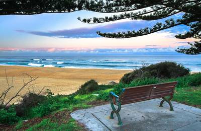 Bench Overlooking the Beach