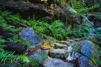 Beautiful landscape of the Wentworth Falls, NSW