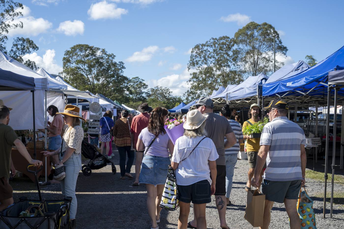 Shoppers browsing stalls at a Sunshine Coast Hinterland farmers market