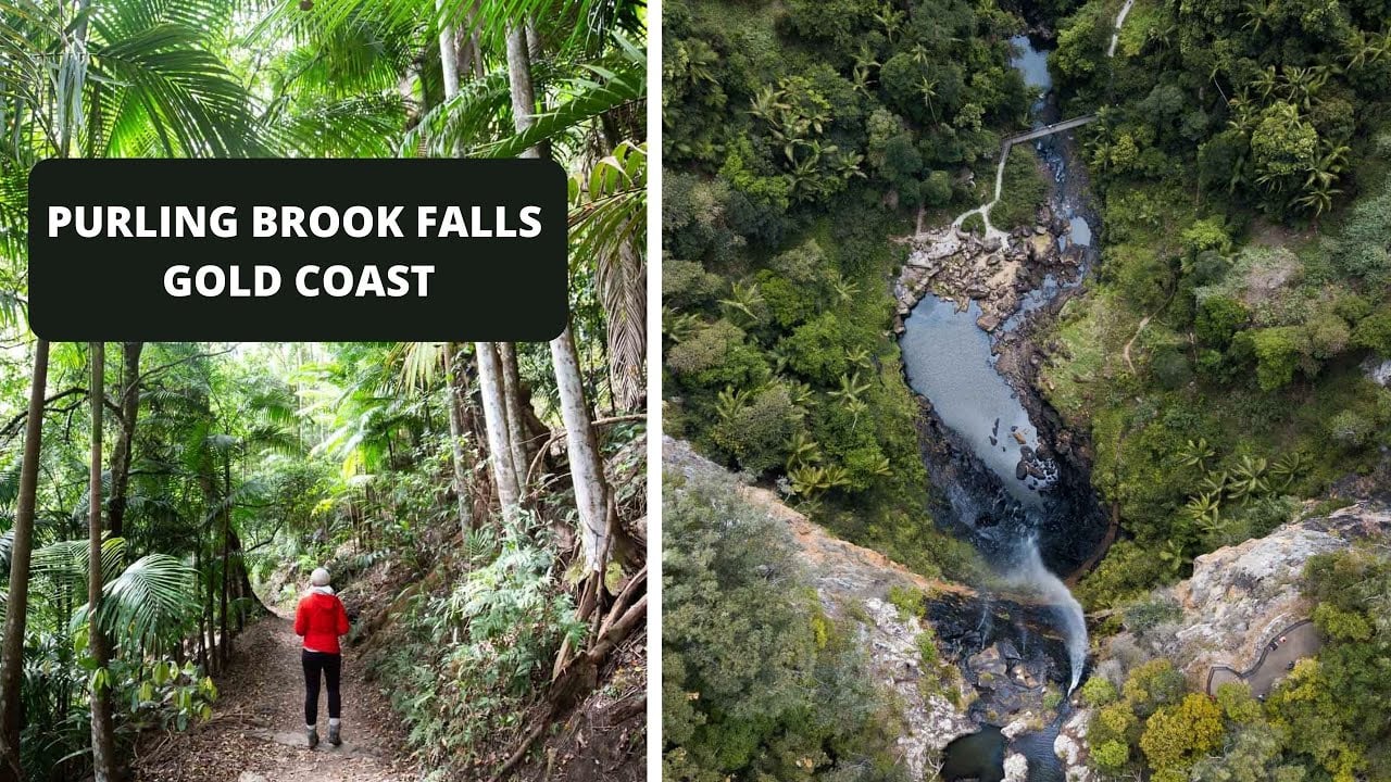 (DRONE) Purling Brook Falls Springbrook National Park Gold Coast