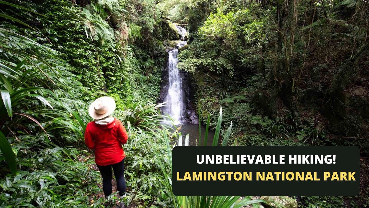 Toolona Creek Circuit Lamington National Park Review (iPhone 13 pro)